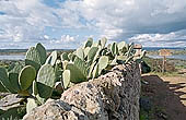 Vendicari nature reserve